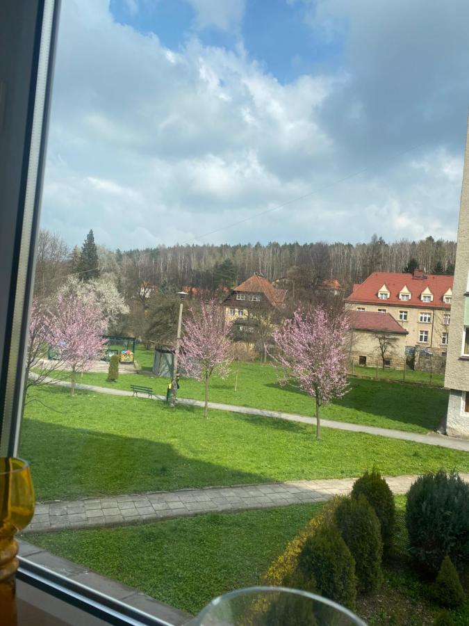 Apartmán Apartament Centrum Polanica-Zdrój Exteriér fotografie